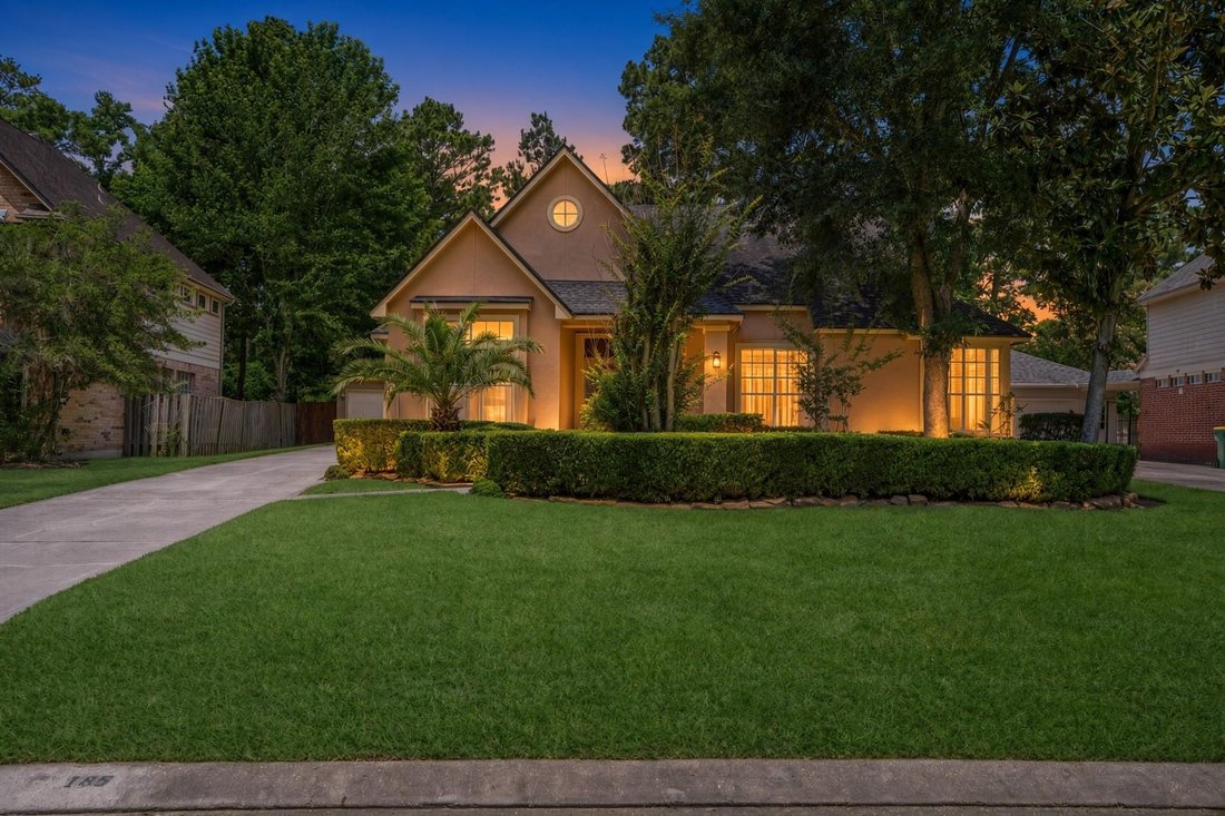 House in The Woodlands, Texas, United States 1 - 18834037