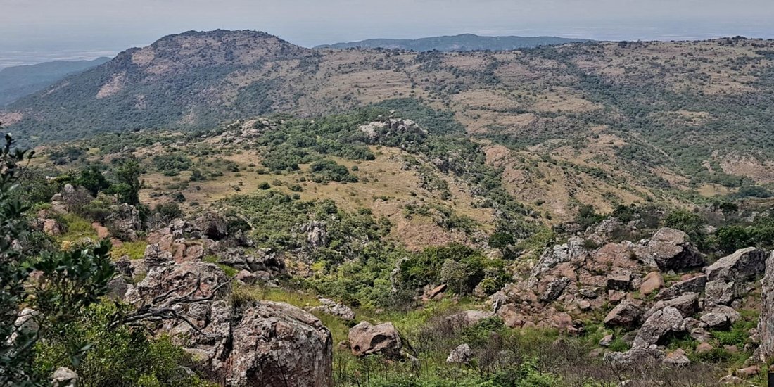 Rancho en Vivo, Provincia de Limpopo, Sudáfrica 3 - 18831751
