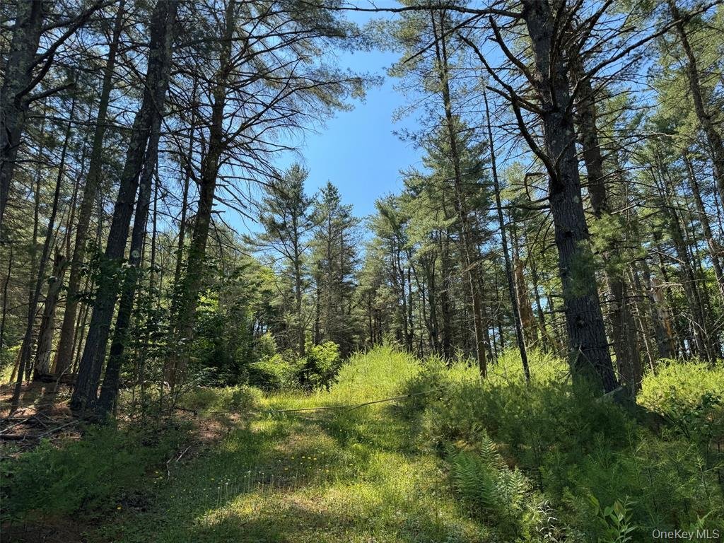 Terreno a Forestburgh, New York, Stati Uniti 1 - 16910500