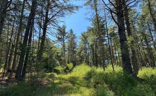 Terreno a Forestburgh, New York, Stati Uniti 1