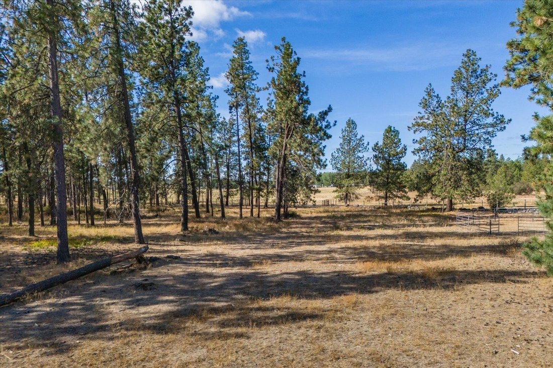 Land in Spangle, Washington, United States 5 - 18834973