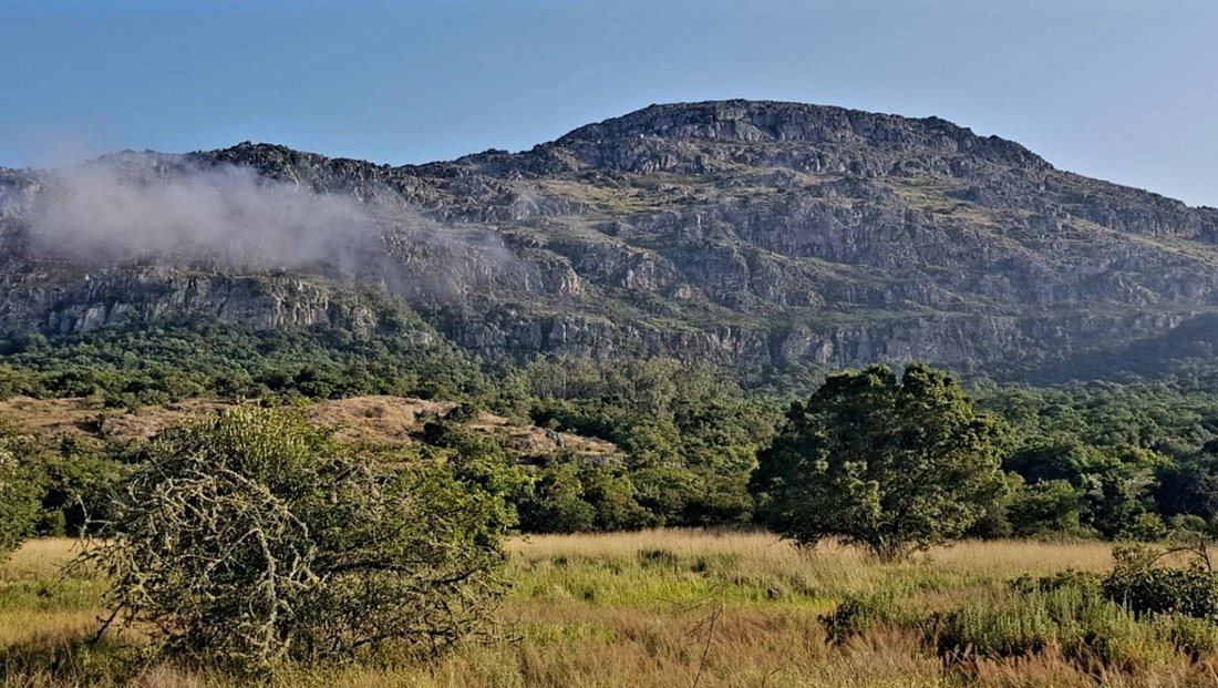 Rancho en Vivo, Provincia de Limpopo, Sudáfrica 2 - 18831751