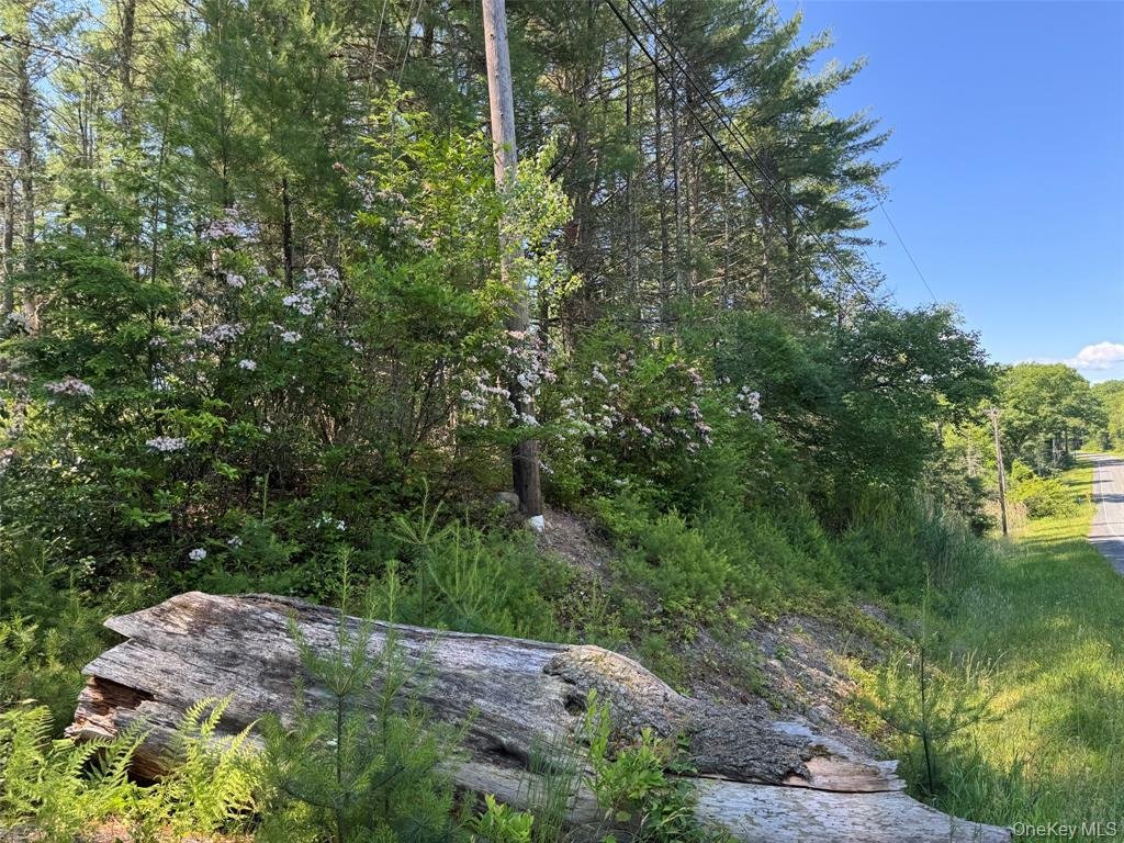 Terreno a Forestburgh, New York, Stati Uniti 2 - 16910500