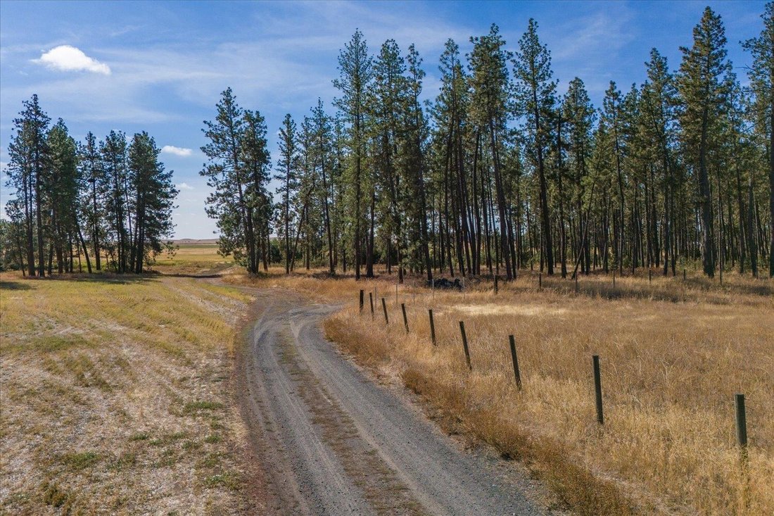 Land in Spangle, Washington, United States 4 - 18834976