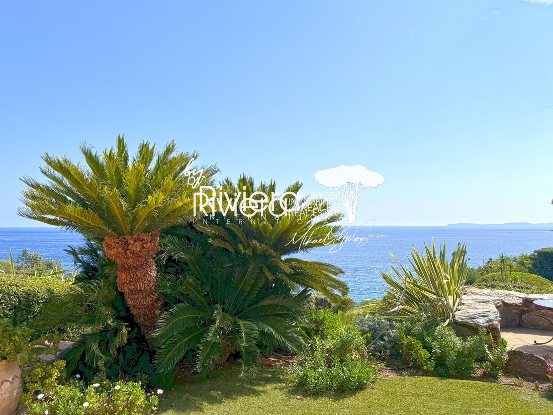 Estate in La Croix-Valmer, Provence-Alpes-Côte d'Azur, France 2 - 15389395