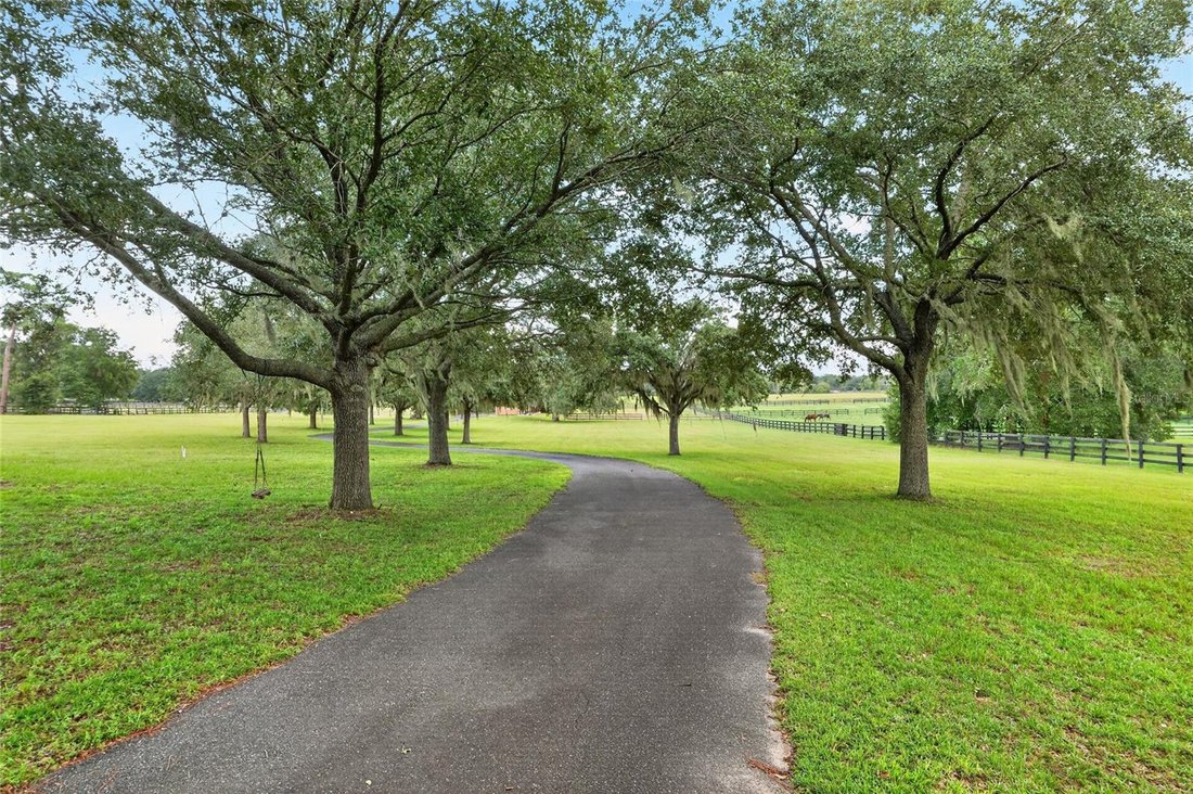 Azienda agricola a Ocala, Florida, Stati Uniti 2 - 18835894