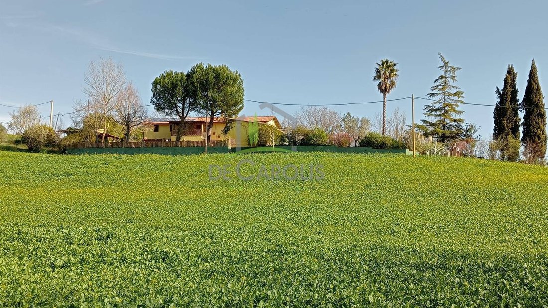 Villa in Offida, Marche, Italy 3 - 18603419