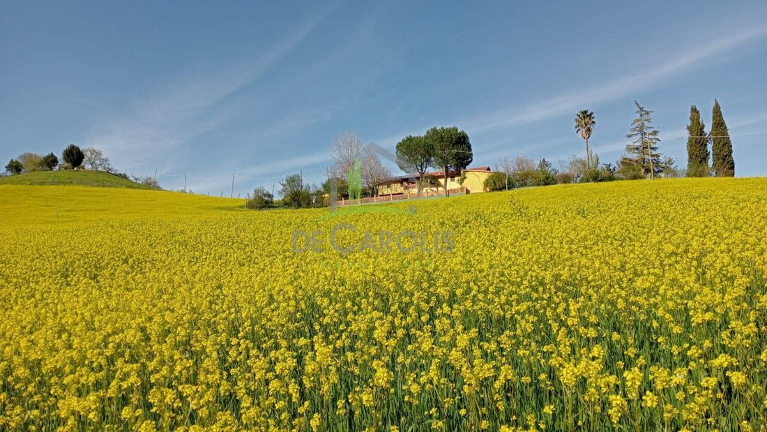 Villa in Offida, Marche, Italy 2 - 18603419