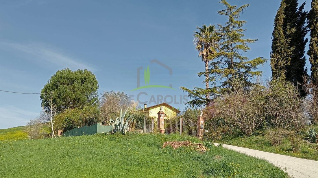 Villa in Offida, Marche, Italy 4 - 18603419