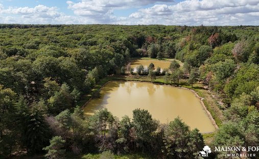 Estate in Aubigny-sur-Nère, Centre-Val de Loire, France 1