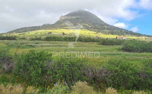 Land in Porto Santo Island, Madeira, Portugal 1