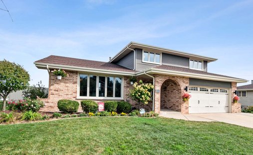 House in Tinley Park, Illinois, United States 1