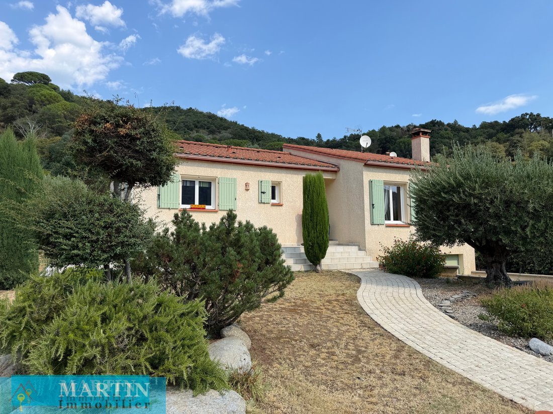 Villa in Arles-sur-Tech, Occitania, France 1 - 18837526