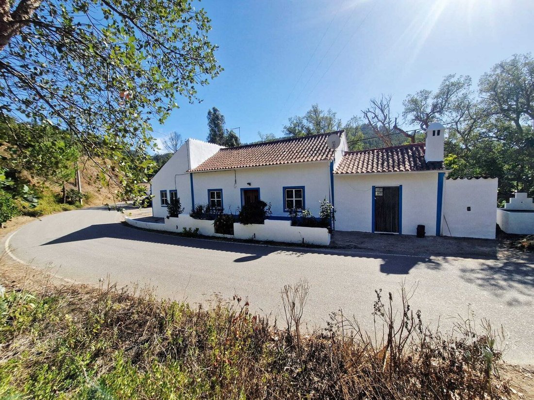 Farm Ranch in Monchique, Algarve, Portugal 1 - 13890379