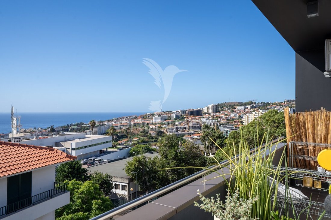 Apartment in Santo Antonio, Madeira, Portugal 1 - 18837759
