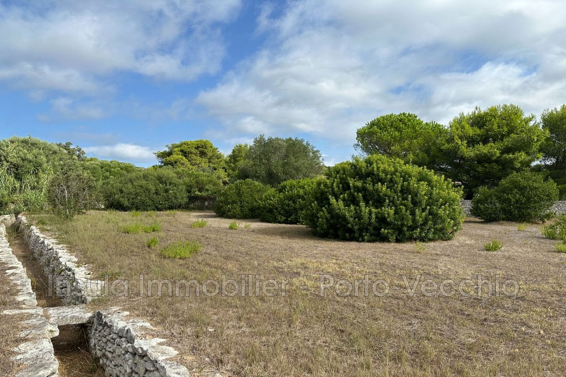 Villa à Bonifacio / Bunifaziu, Corse, France 2 - 18837557