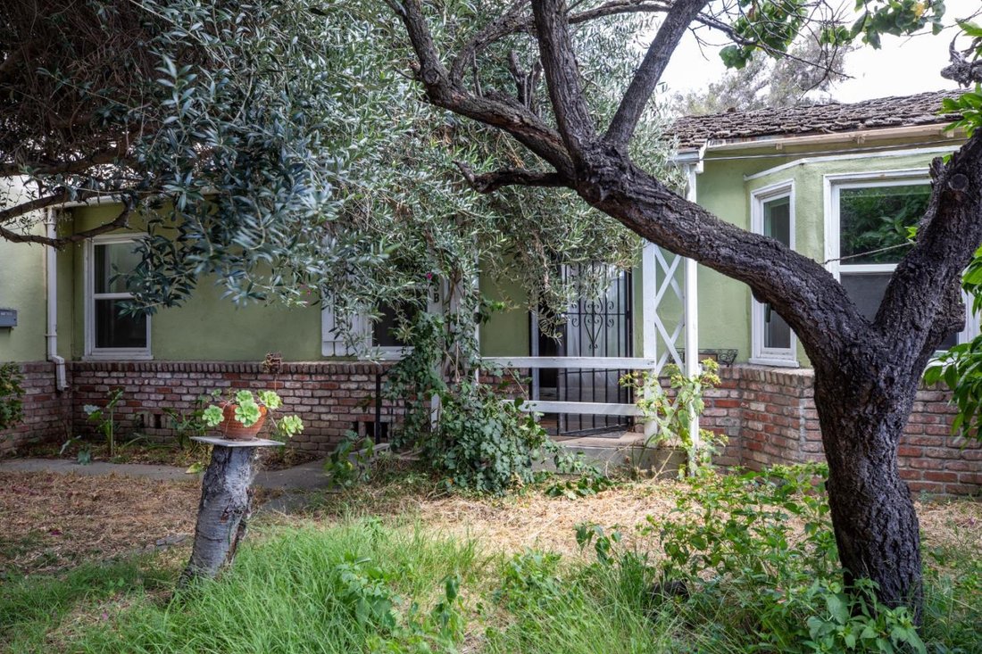 Mountain View, California, United States 5 - 18836533
