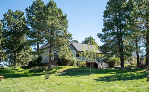 House in Parker, Colorado, United States 1