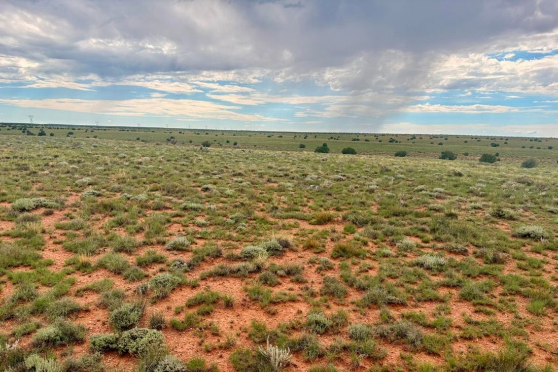 Terrain à Heber-Overgaard, Arizona, États-Unis 3 - 18838278