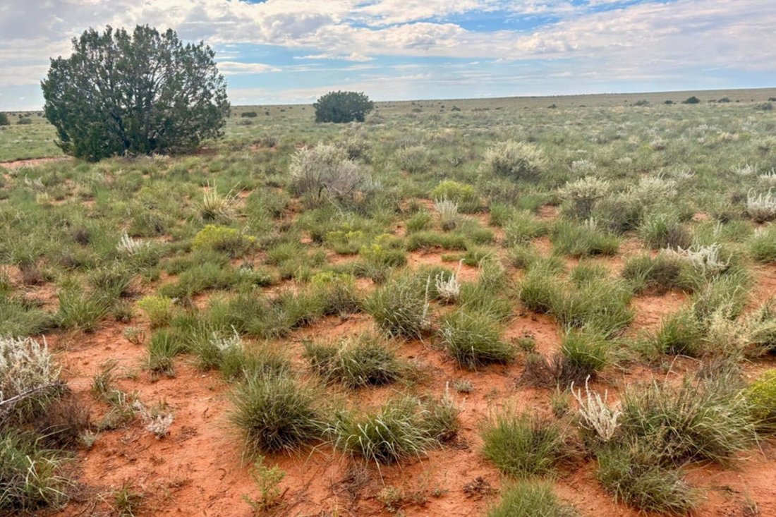Terrain à Heber-Overgaard, Arizona, États-Unis 1 - 18838278