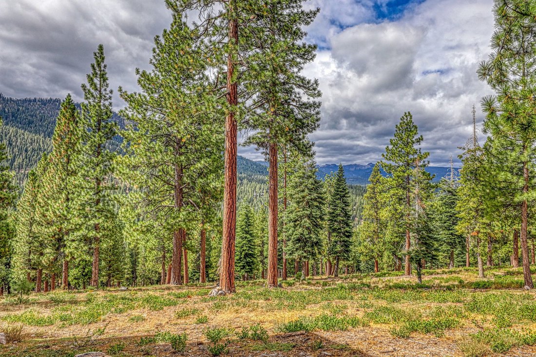 Townhouse in Truckee, California, United States 5 - 18838785
