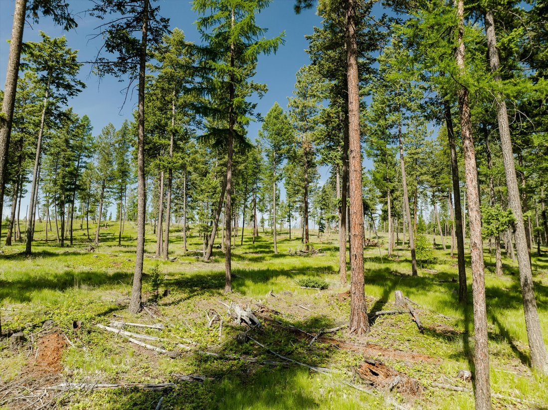 Land in Kalispell, Montana, Vereinigte Staaten 4 - 18840676
