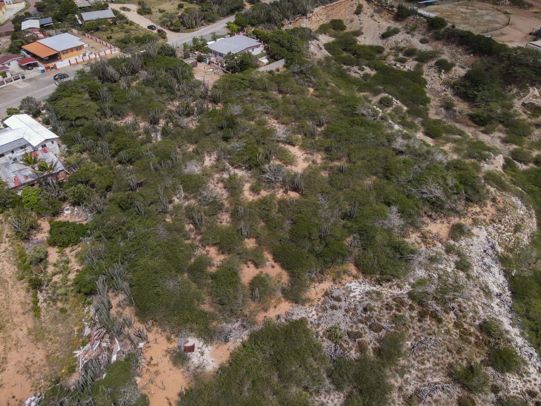 Land in Santa Cruz, Aruba 2 - 18840481