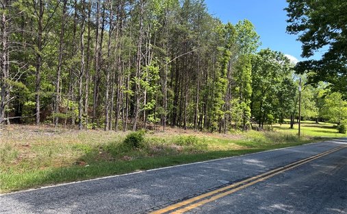 Farm Ranch in Greer, South Carolina, United States 1