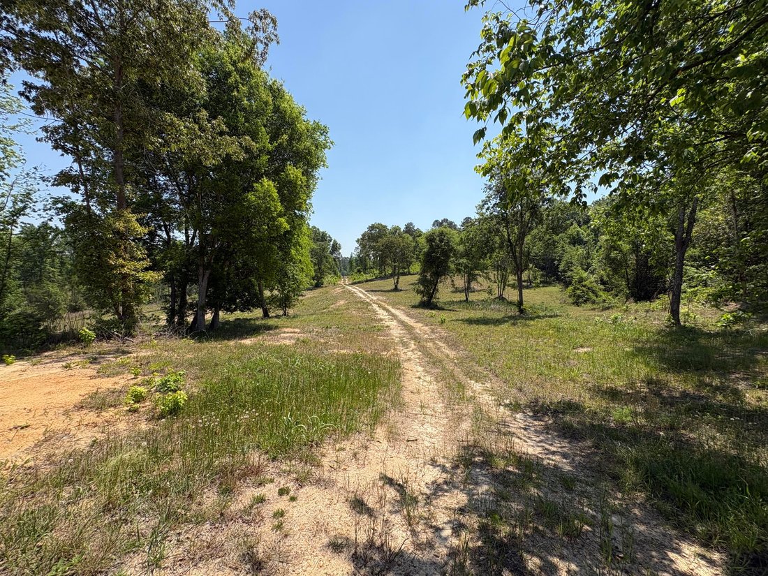 Land in Beech Island, South Carolina, United States 3 - 18840193