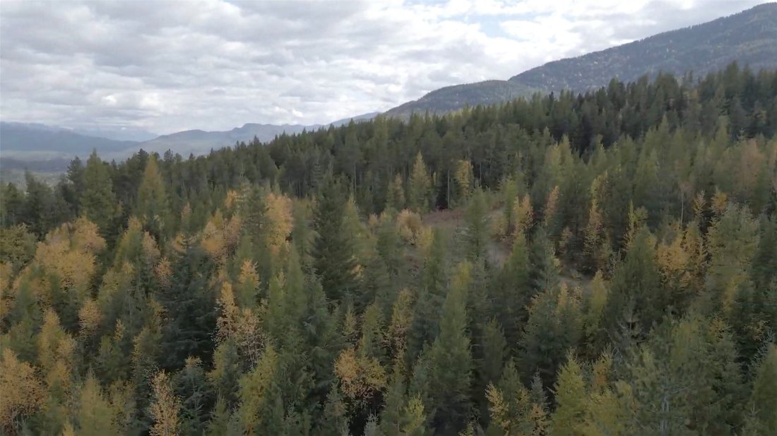 Land in Whitefish, Montana, Vereinigte Staaten 3 - 18841430