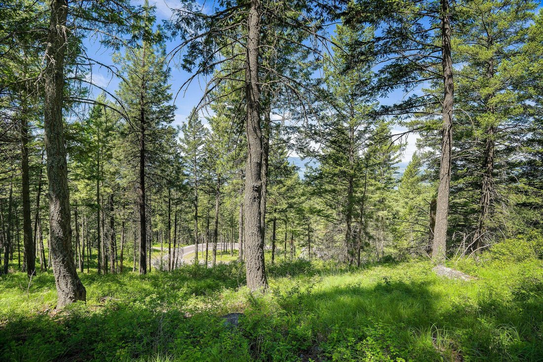 Terrain à Bigfork, Montana, États-Unis 2 - 18838863