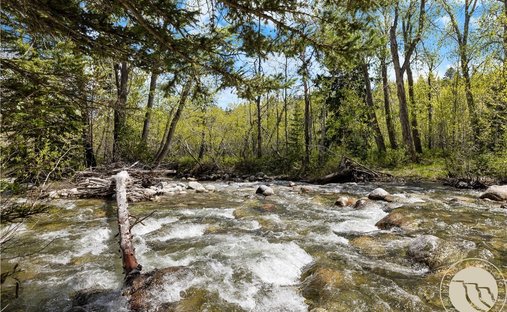 Terreno a Red Lodge, Montana, Stati Uniti 1