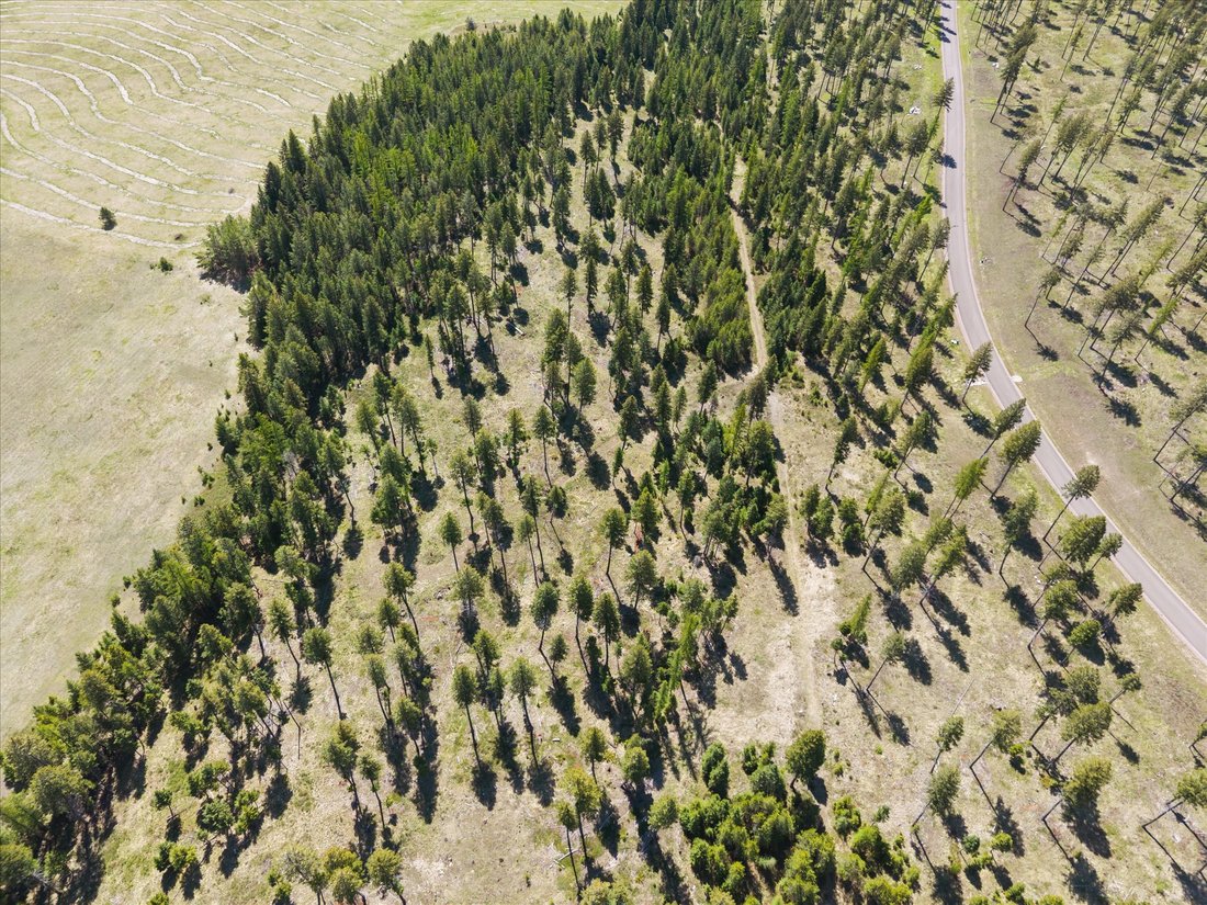 Land in Whitefish, Montana, United States 5 - 18840579