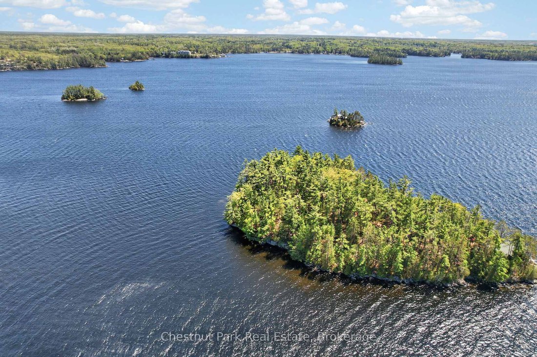 Otros en Gravenhurst, Ontario, Canadá 5 - 18840080
