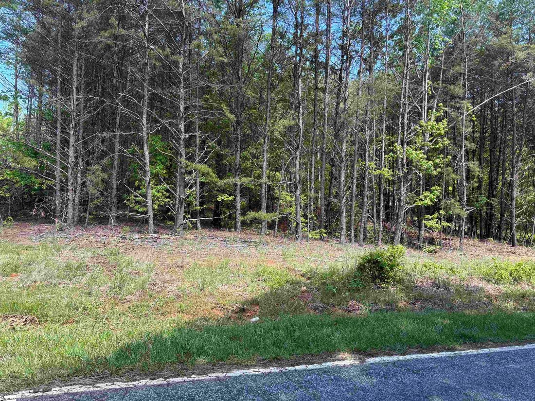 Land in Greer, South Carolina, United States 3 - 18840100