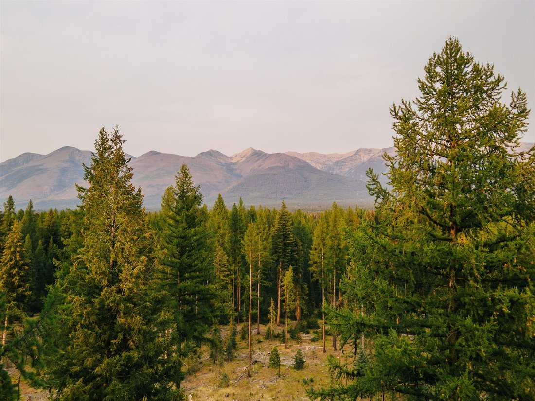Land in Condon, Montana, United States 3 - 18840760