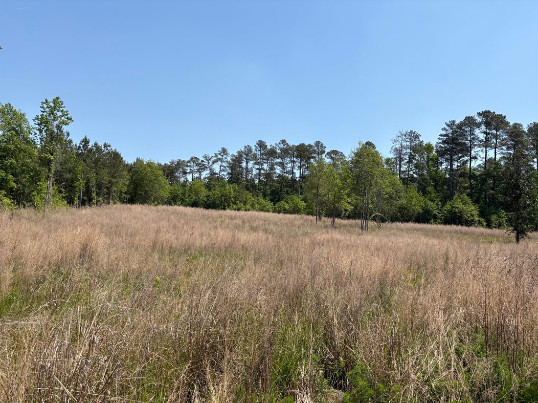 Land in Beech Island, South Carolina, United States 4 - 18840193