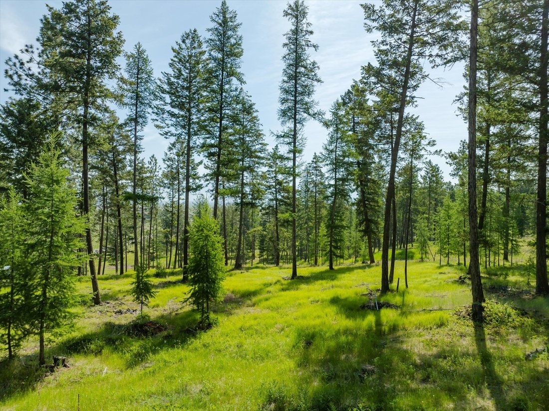 Terreno a Kalispell, Montana, Stati Uniti 5 - 18840801