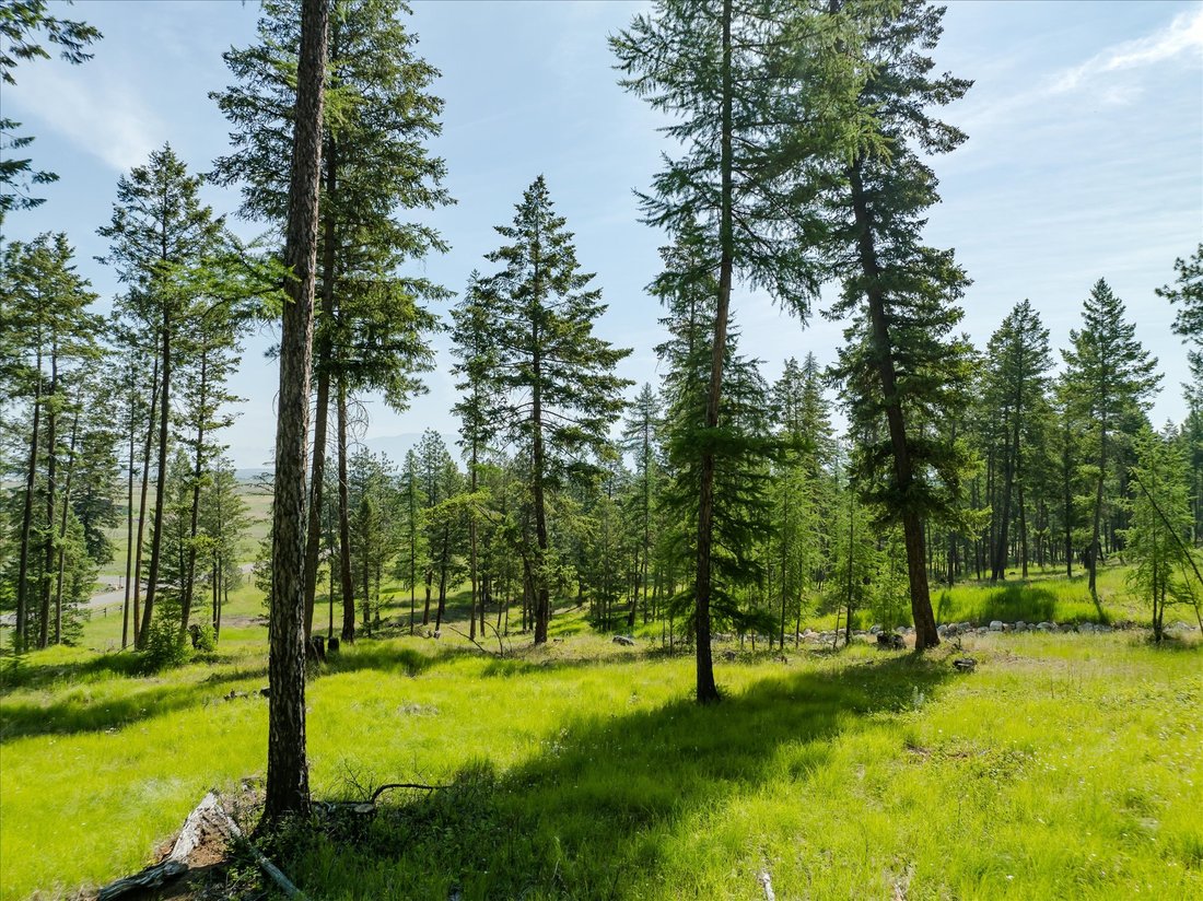 Land in Kalispell, Montana, Vereinigte Staaten 4 - 18841031