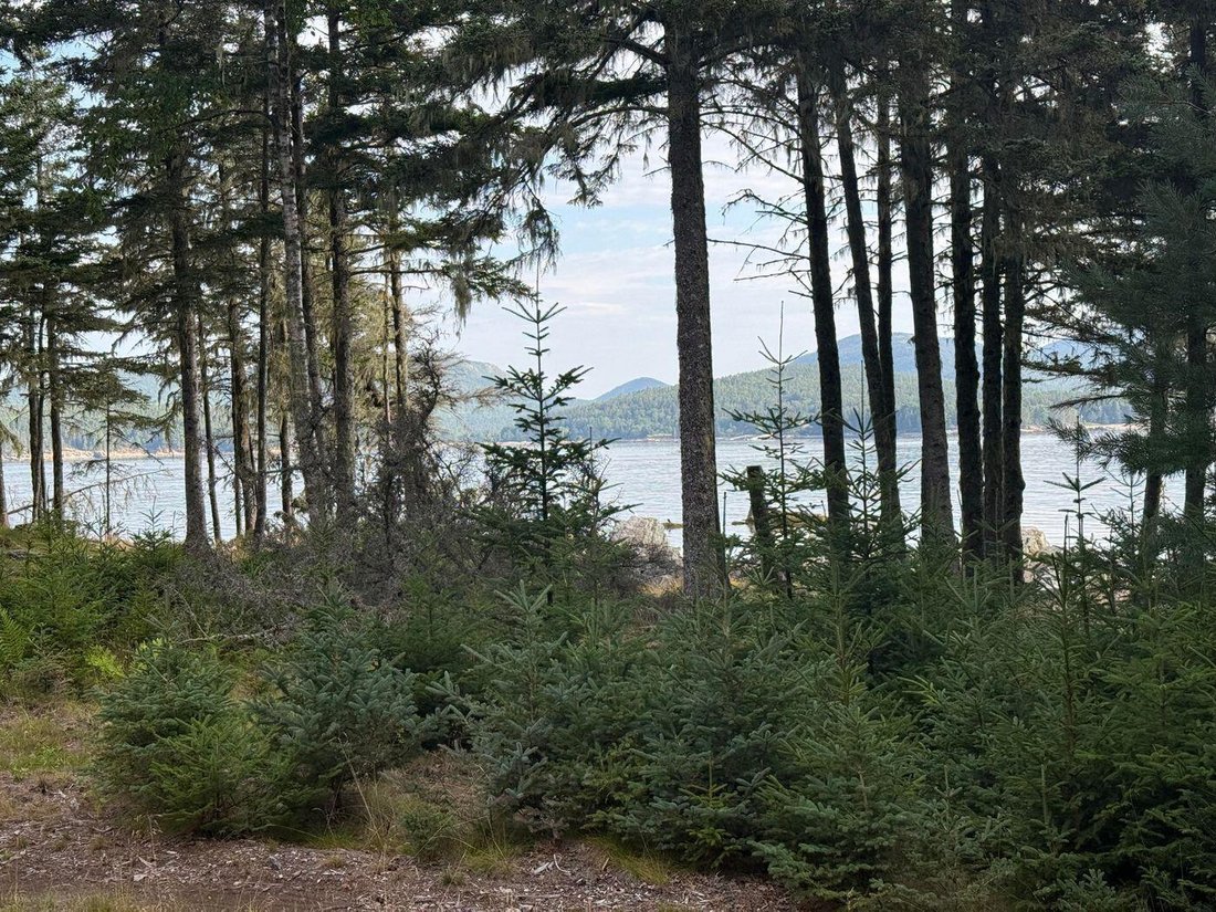 Land in Cranberry Isles, Maine, Vereinigte Staaten 5 - 18839784