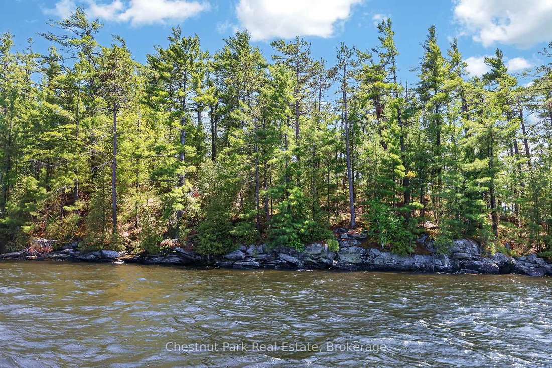 Otros en Gravenhurst, Ontario, Canadá 4 - 18840080