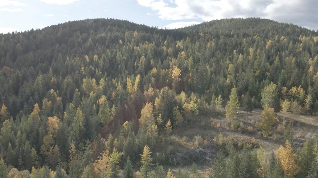 Land in Whitefish, Montana, Vereinigte Staaten 4 - 18841430