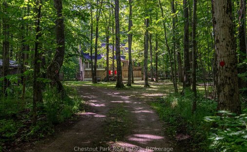 House in Northern Bruce Peninsula, Ontario, Canada 1