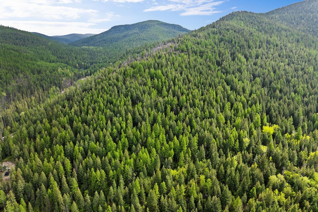 Land in Kalispell, Montana, United States 4 - 18840931