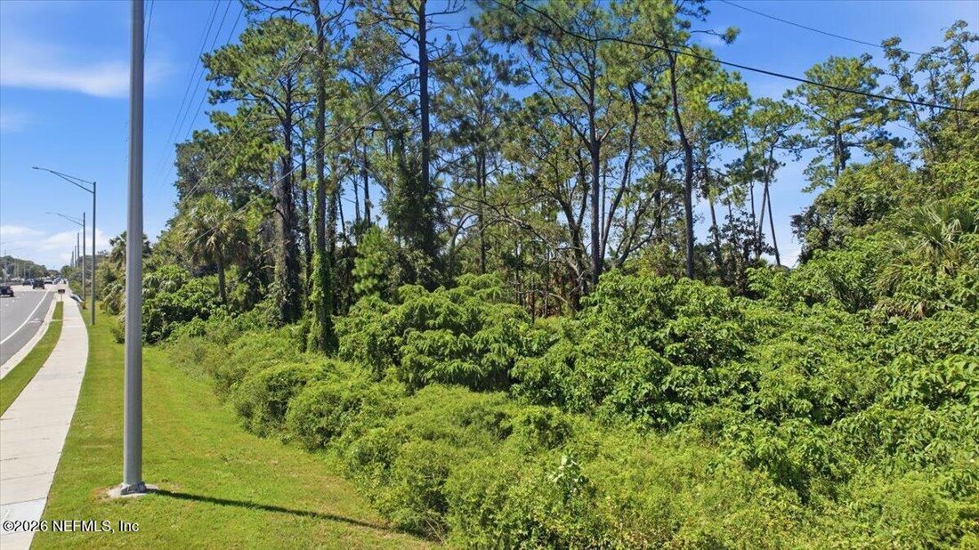 Terreno a Jacksonville, Florida, Stati Uniti 3 - 18839502