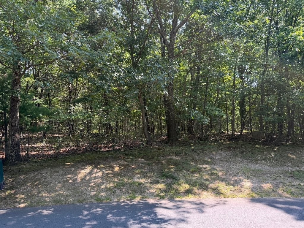 Terreno a Lincoln, Massachusetts, Stati Uniti 3 - 18840268