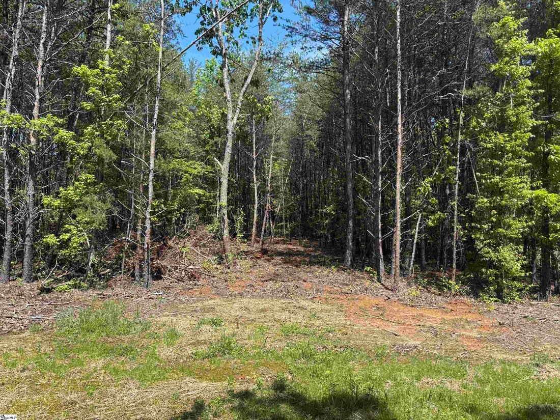 Land in Greer, South Carolina, United States 5 - 18840100