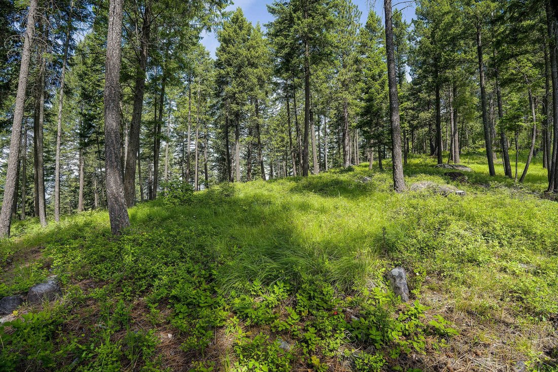 Terreno en Bigfork, Montana, Estados Unidos 3 - 18839018