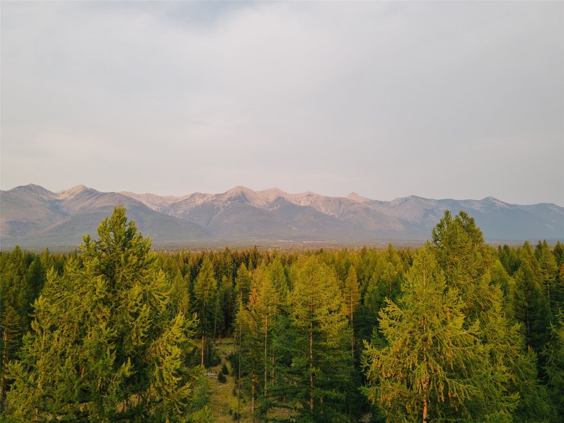 Land in Condon, Montana, United States 2 - 18840760