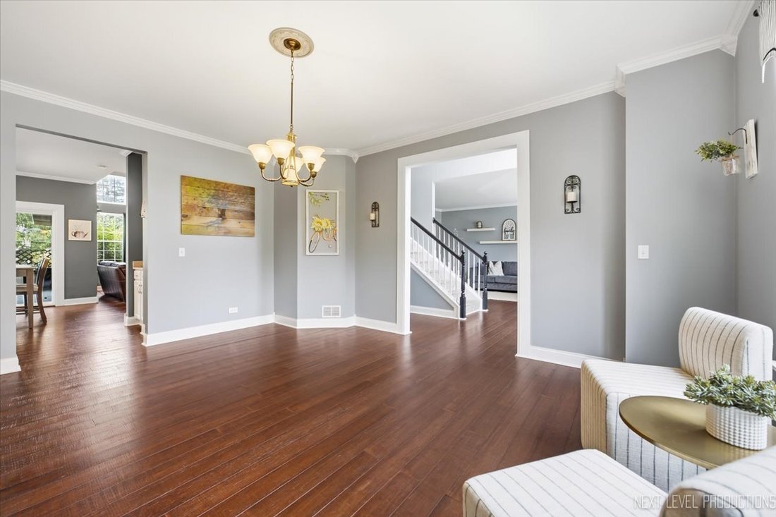 House in South Elgin, Illinois, United States 5 - 18839008